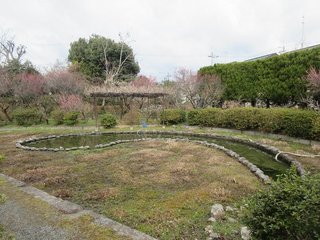 IMG_6497.jpg