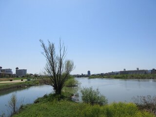 IMG_6501.jpg