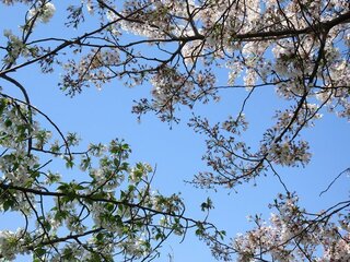 IMG_6507.jpg