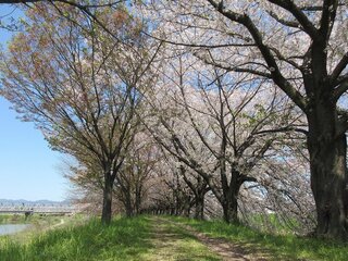 IMG_6510.jpg
