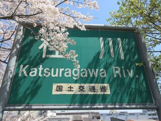 IMG_6513.jpg