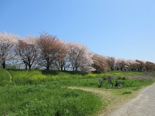 IMG_6517.jpg