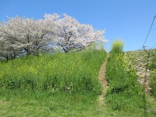 IMG_6518.jpg