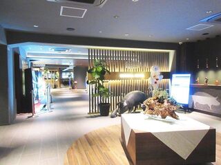 IMG_6554.jpg