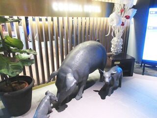 IMG_6555.jpg