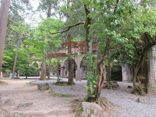 IMG_6569.jpg