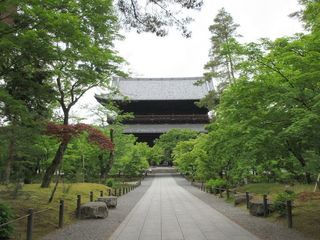 IMG_6587.jpg