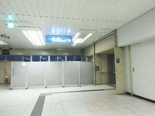 IMG_6598.jpg