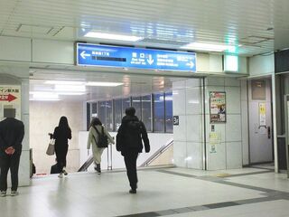 IMG_6599.jpg