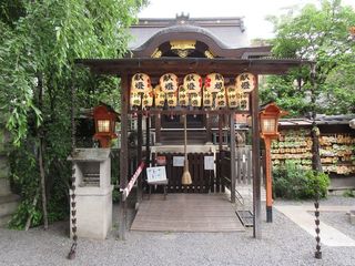 IMG_6607.jpg
