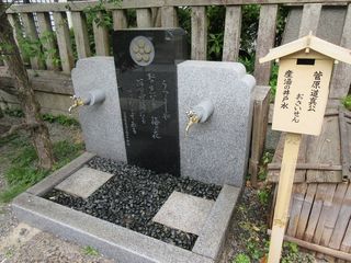 IMG_6612.jpg