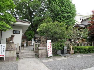 IMG_6613.jpg