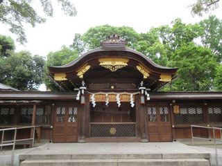 IMG_6643.jpg