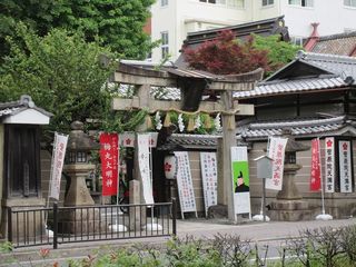 IMG_6650.jpg