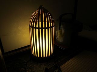 IMG_6682.jpg