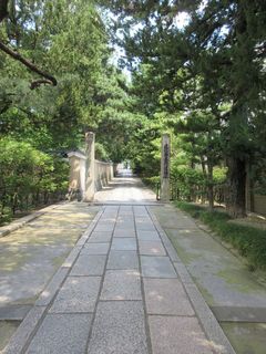 IMG_6866.jpg