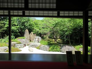 IMG_6871.jpg