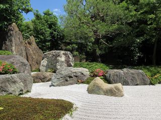 IMG_6876.jpg