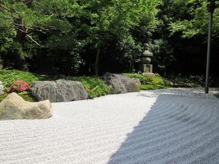 IMG_6877.jpg