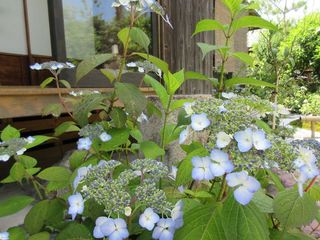 IMG_6883.jpg