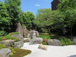 IMG_6885.jpg