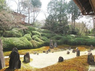 IMG_6887.jpg