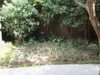IMG_6894.jpg