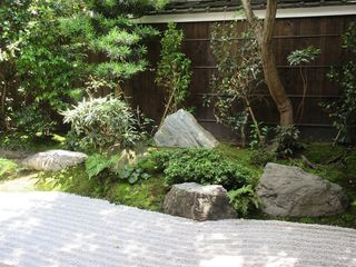 IMG_6895.jpg