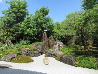 IMG_6899.jpg