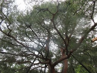 IMG_7012.jpg