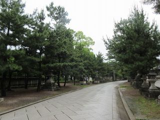 IMG_7013.jpg