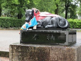 IMG_7018.jpg