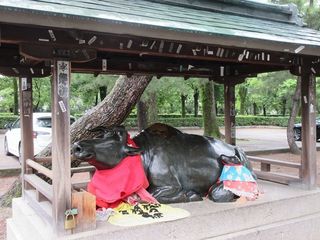 IMG_7025.jpg