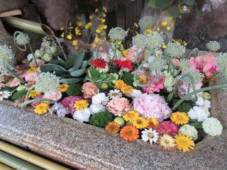 IMG_7033.jpg