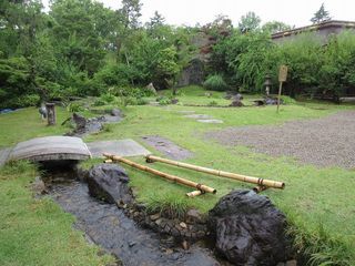IMG_7062.jpg