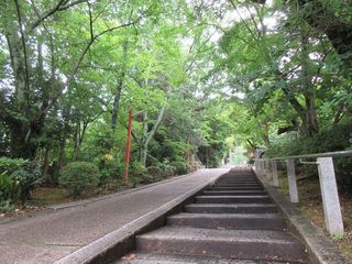 IMG_7107.jpg