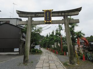 IMG_7124.jpg