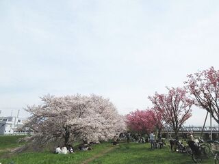 IMG_7194.jpg