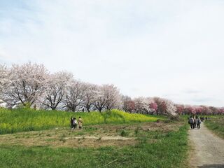 IMG_7208.jpg