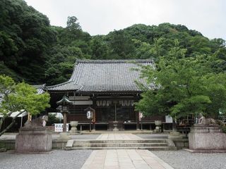 IMG_7317.jpg