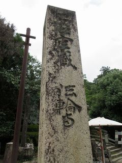 IMG_7326.jpg