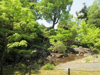 IMG_7331.jpg