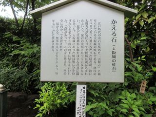 IMG_7417.jpg