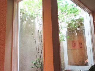 IMG_7434.jpg