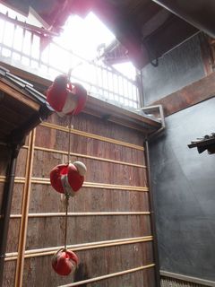 IMG_7434.jpg