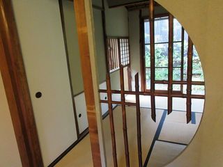 IMG_7451.jpg