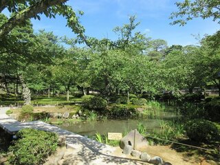 IMG_7601.jpg