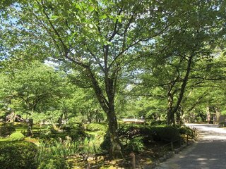 IMG_7603.jpg