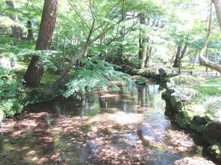 IMG_7605.jpg