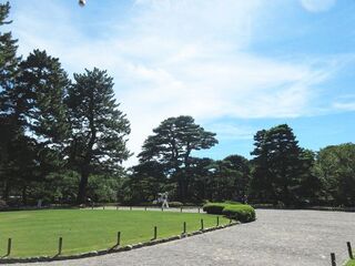 IMG_7609.jpg